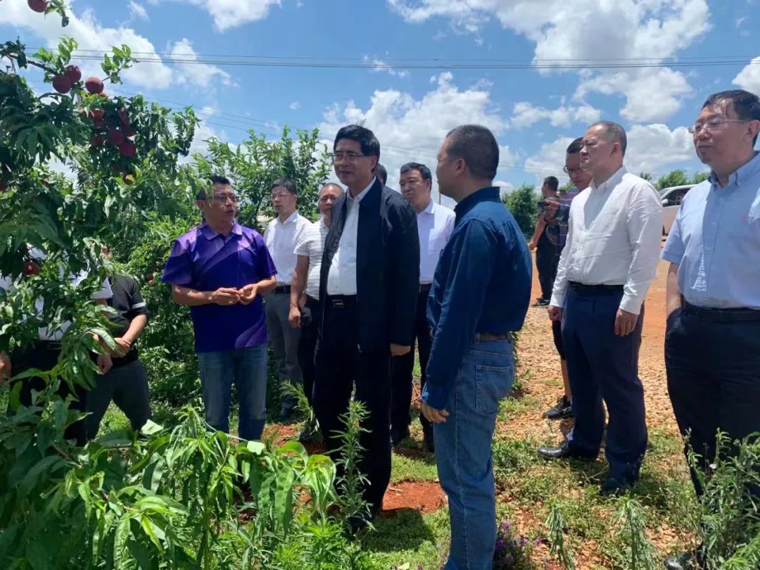 9001cc金沙以诚为本(中国)有限公司官网