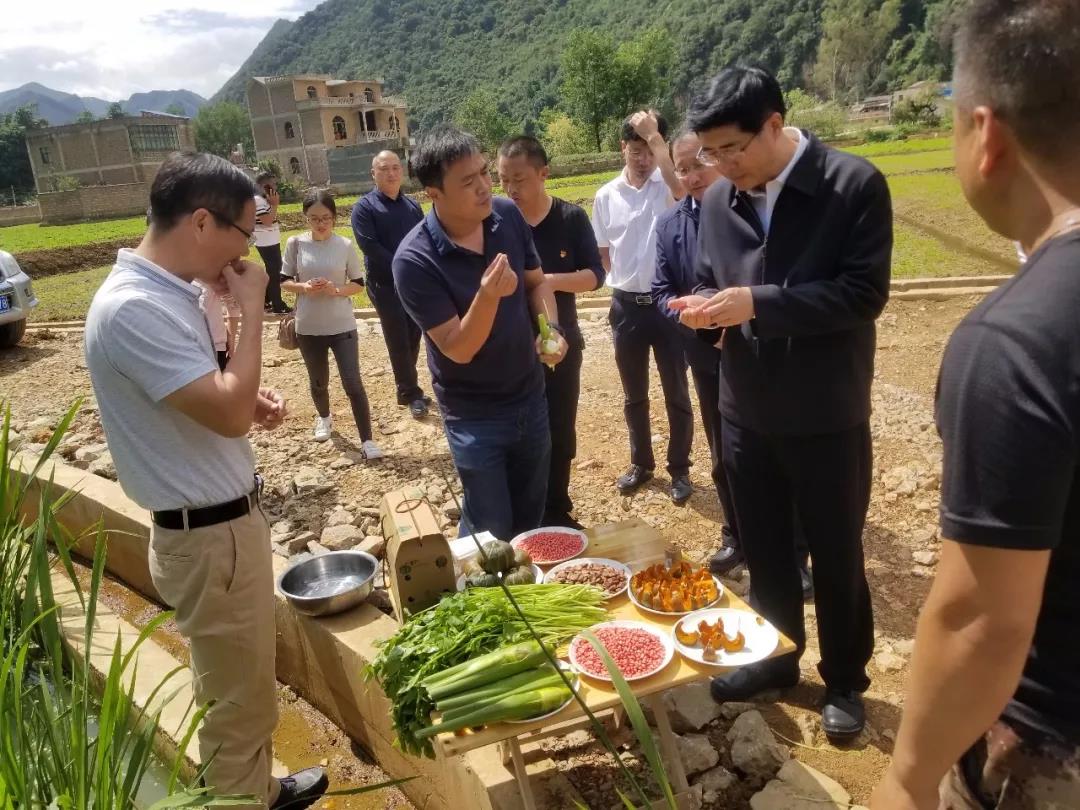 9001cc金沙以诚为本(中国)有限公司官网