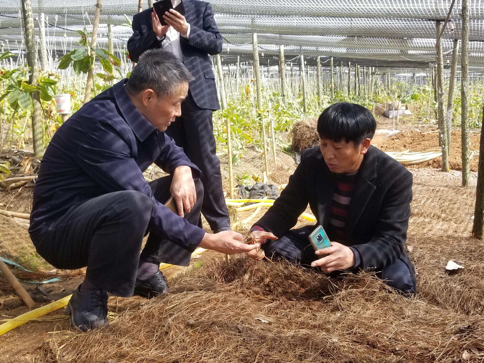 9001cc金沙以诚为本(中国)有限公司官网