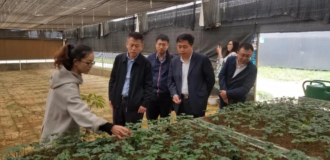 9001cc金沙以诚为本(中国)有限公司官网