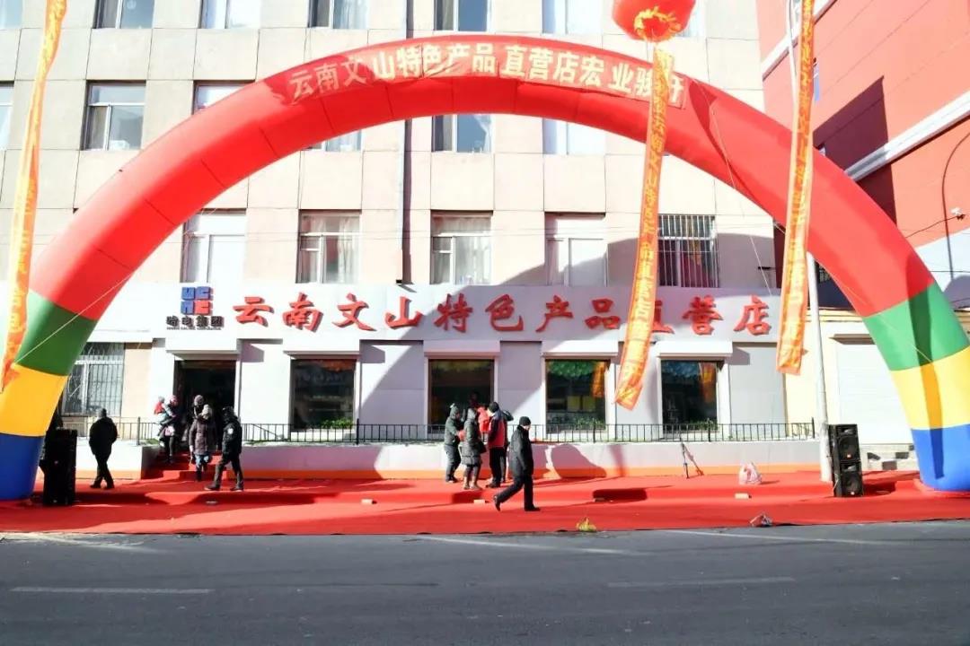 9001cc金沙以诚为本(中国)有限公司官网