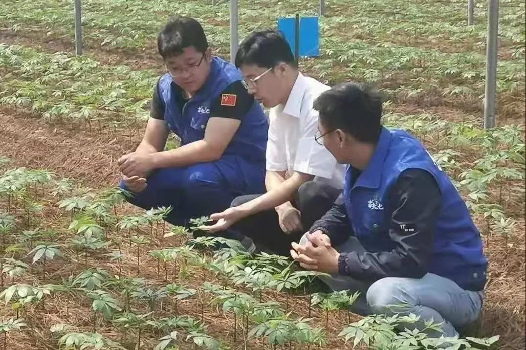 9001cc金沙以诚为本(中国)有限公司官网