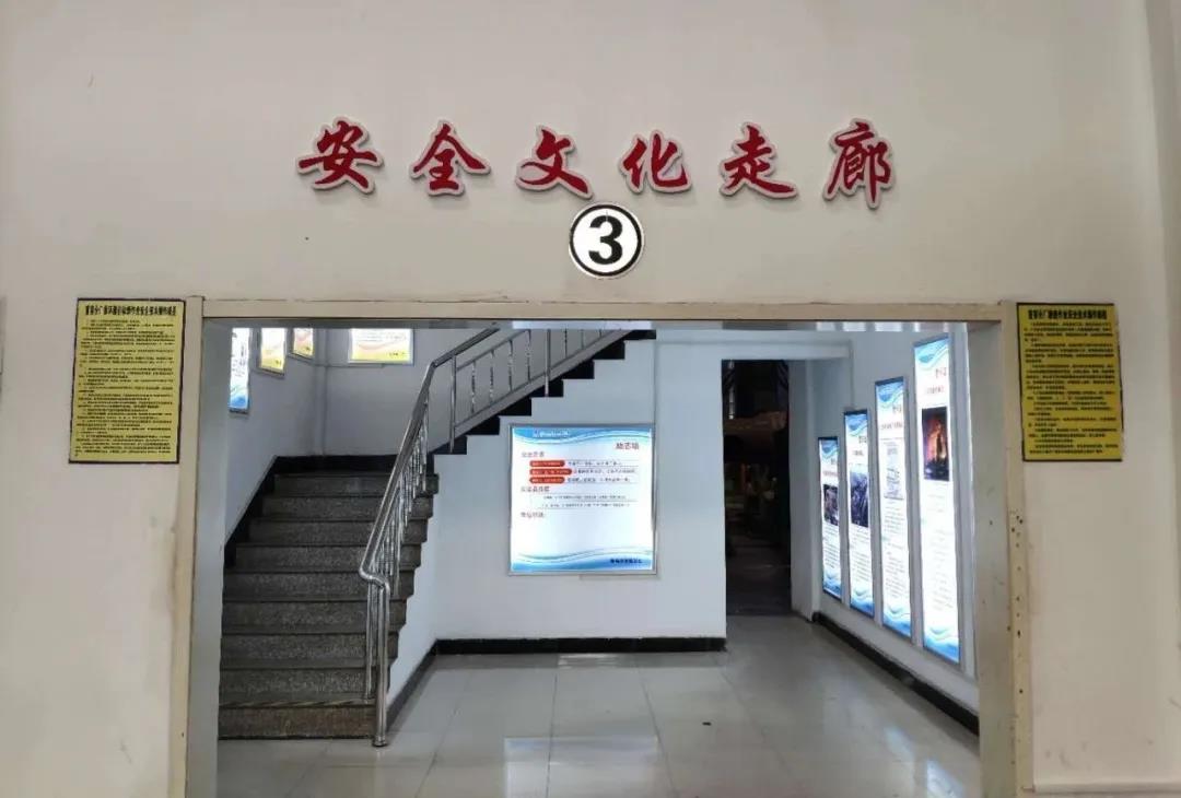 9001cc金沙以诚为本(中国)有限公司官网